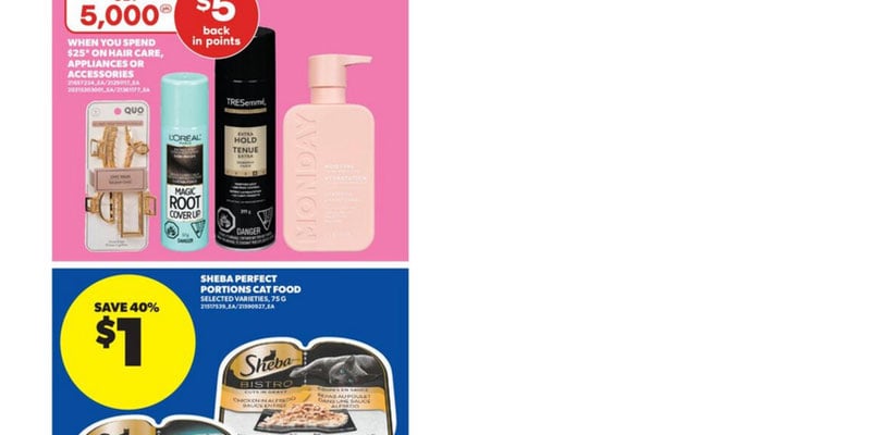 Flyer thumbnail image