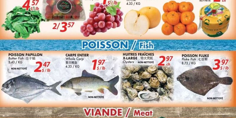 Flyer thumbnail image