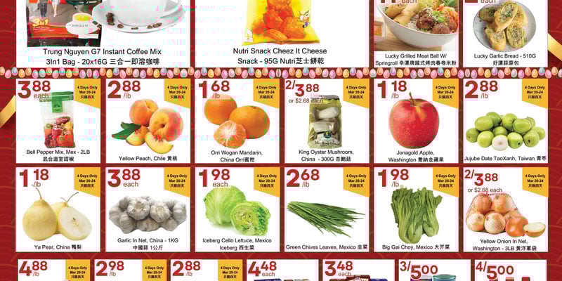 Flyer thumbnail image