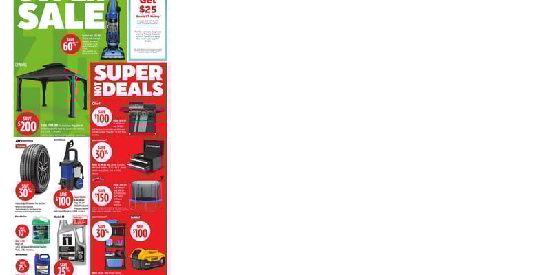 Flyer thumbnail image