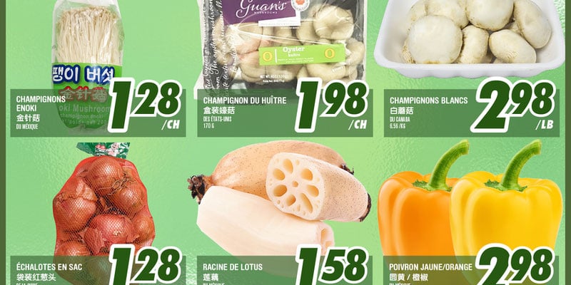 Flyer thumbnail image