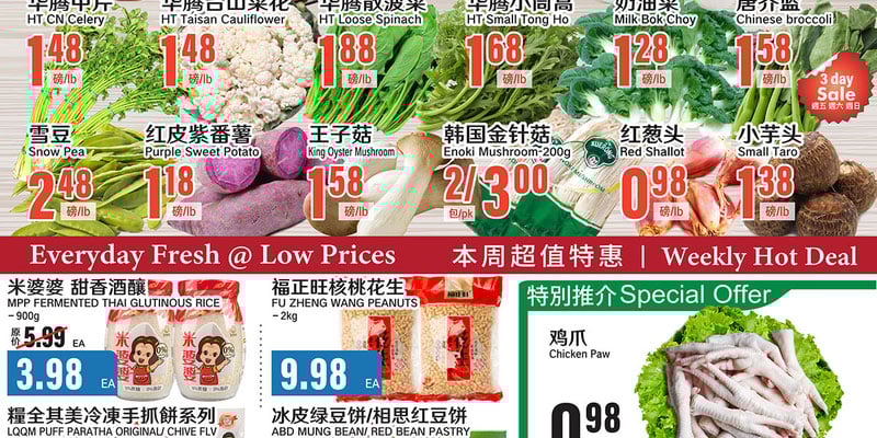 Flyer thumbnail image