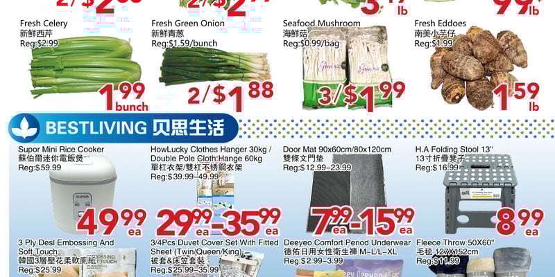 Flyer thumbnail image