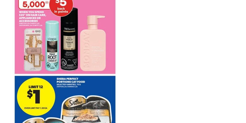 Flyer thumbnail image