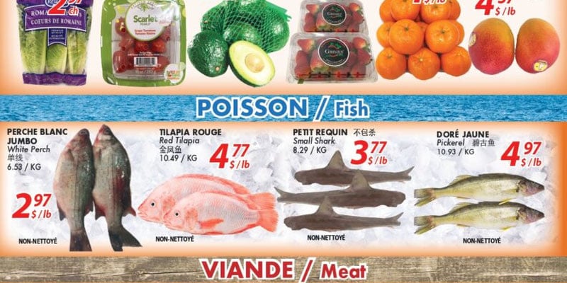 Flyer thumbnail image