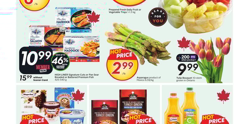 Flyer thumbnail image