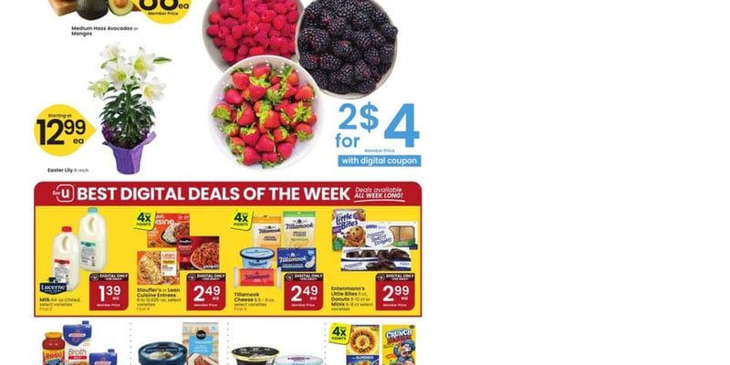 Flyer thumbnail image