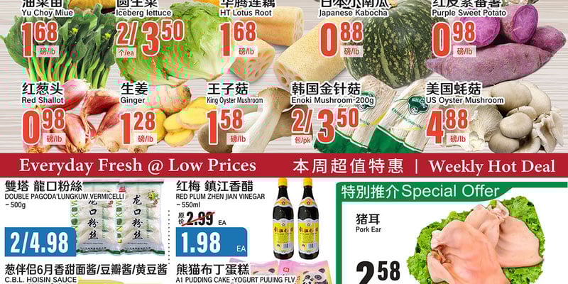 Flyer thumbnail image