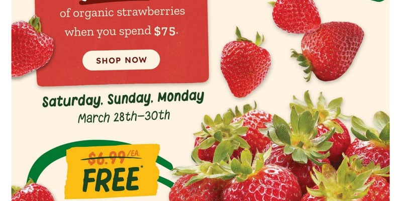 Flyer thumbnail image