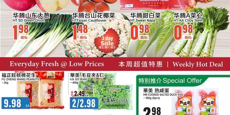 Flyer thumbnail image