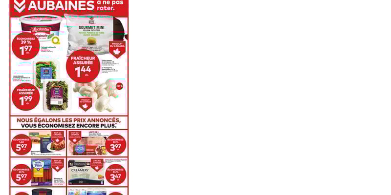 Flyer thumbnail image