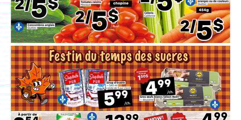 Flyer thumbnail image