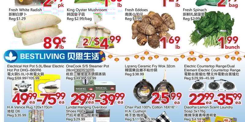 Flyer thumbnail image