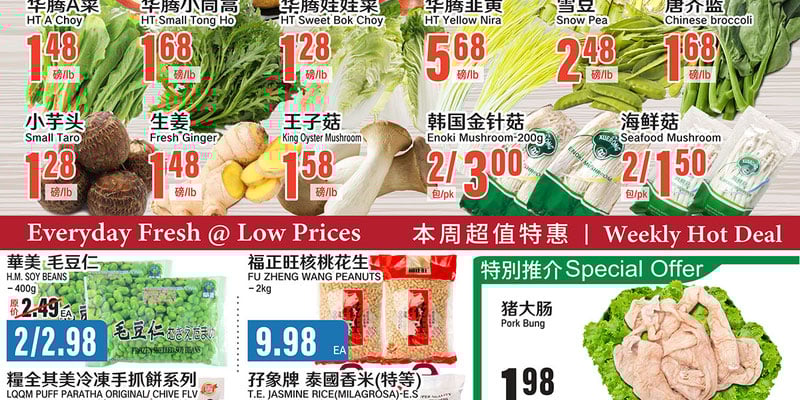 Flyer thumbnail image