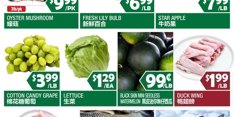 Flyer thumbnail image