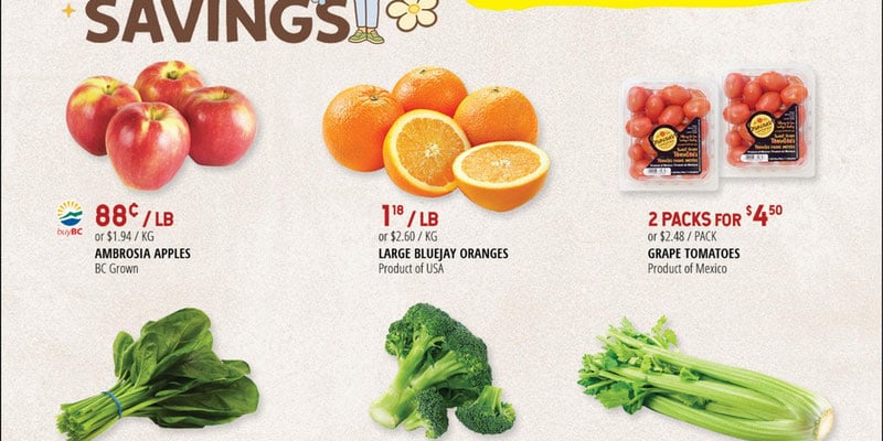 Flyer thumbnail image