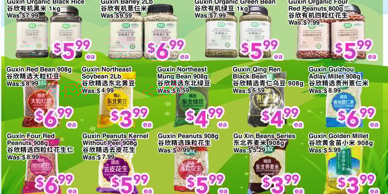 Flyer thumbnail image