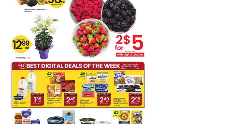 Flyer thumbnail image