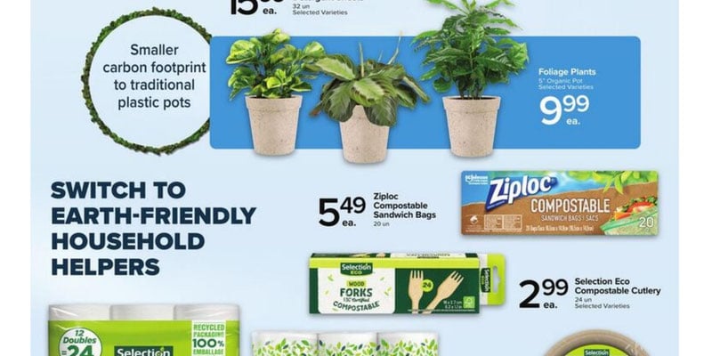 Flyer thumbnail image