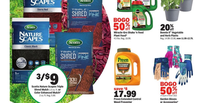 Flyer thumbnail image