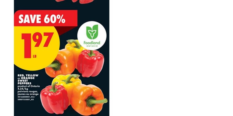 Flyer thumbnail image