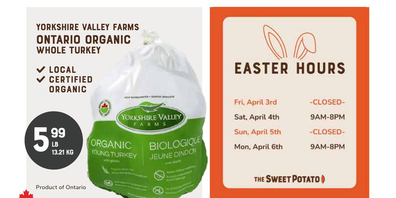 Flyer thumbnail image