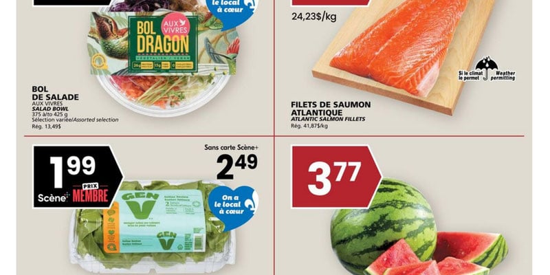 Flyer thumbnail image