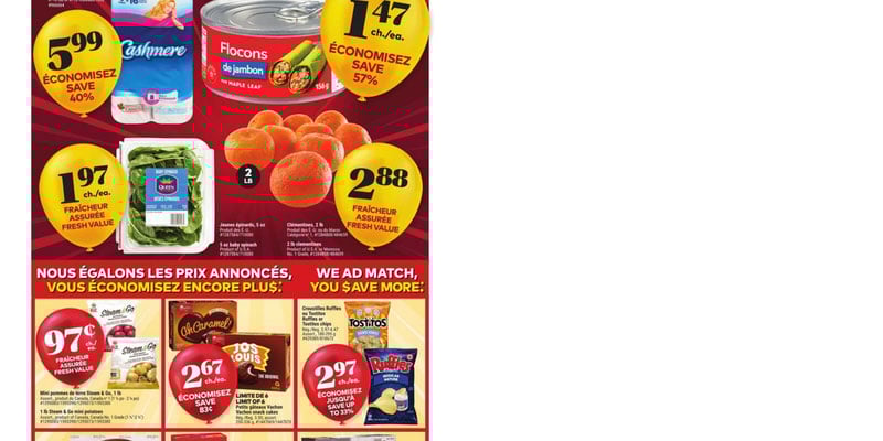 Flyer thumbnail image