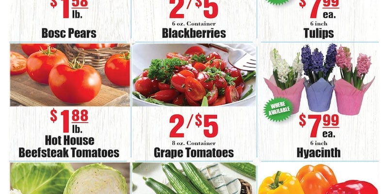 Flyer thumbnail image