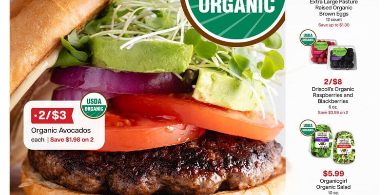 Flyer thumbnail image