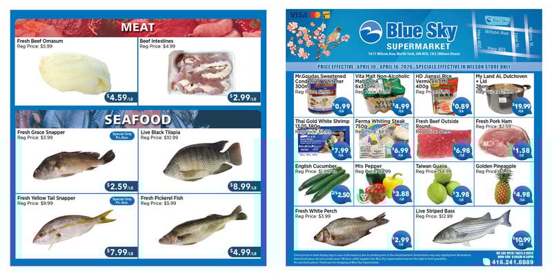 Flyer thumbnail image