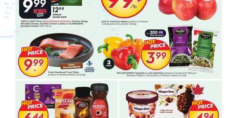 Flyer thumbnail image