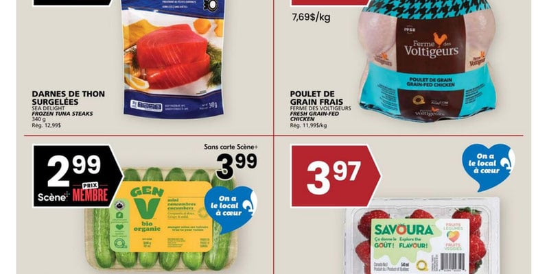 Flyer thumbnail image