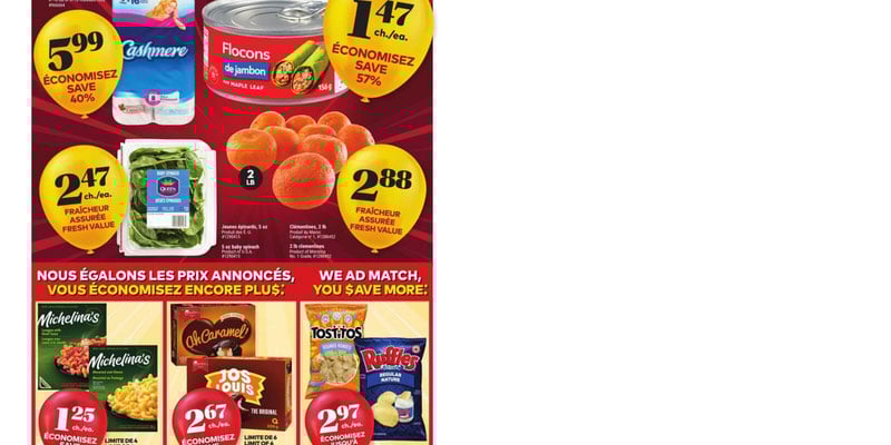 Flyer thumbnail image