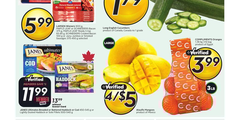 Flyer thumbnail image