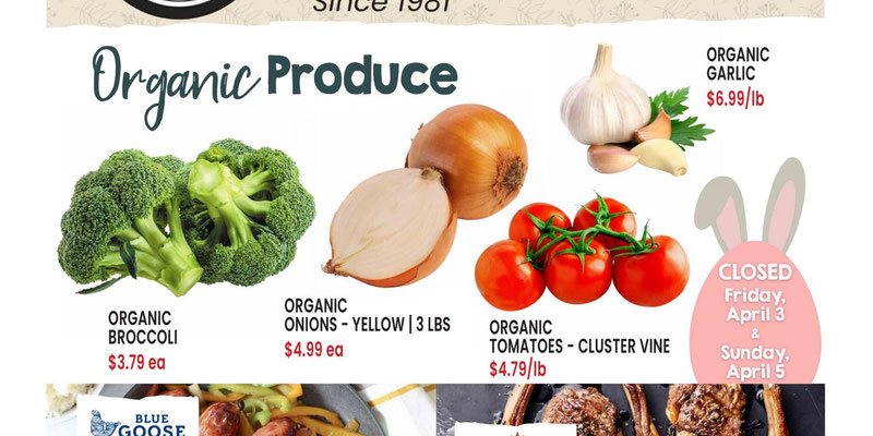 Flyer thumbnail image