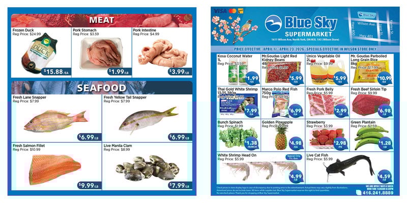 Flyer thumbnail image