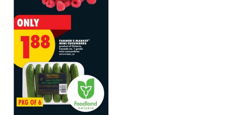 Flyer thumbnail image