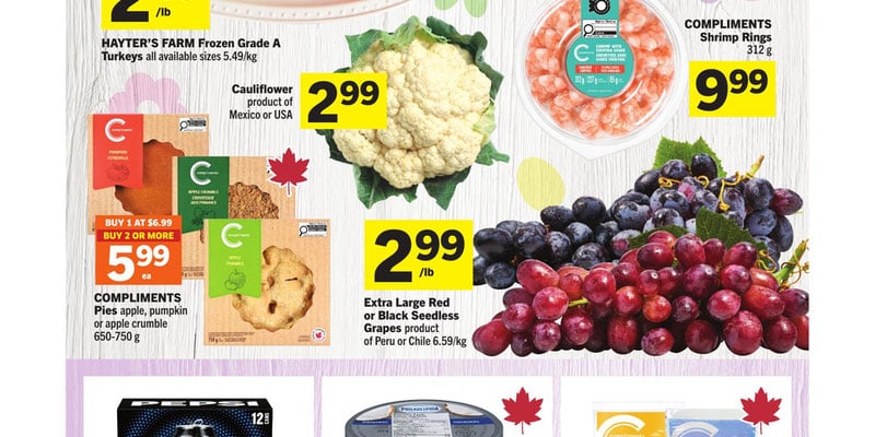 Flyer thumbnail image