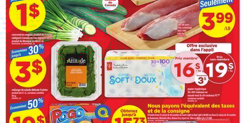 Flyer thumbnail image