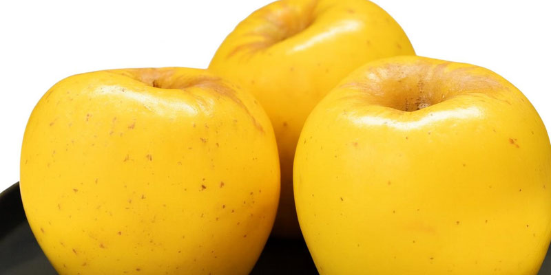 Flyer thumbnail image