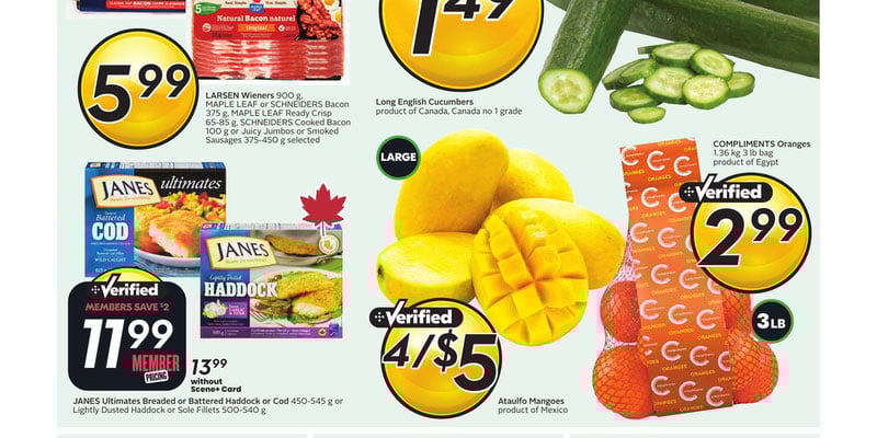 Flyer thumbnail image