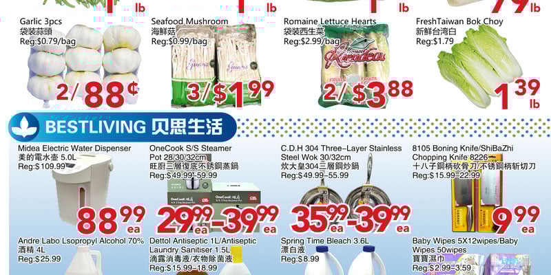 Flyer thumbnail image