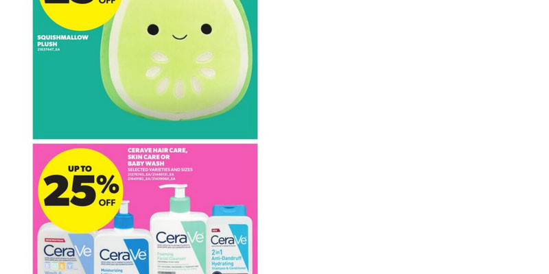 Flyer thumbnail image