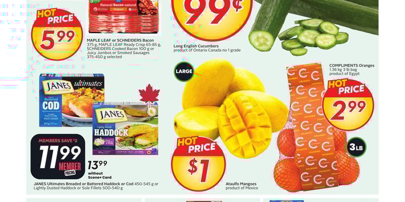 Flyer thumbnail image