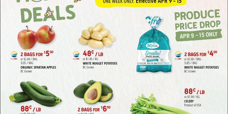 Flyer thumbnail image