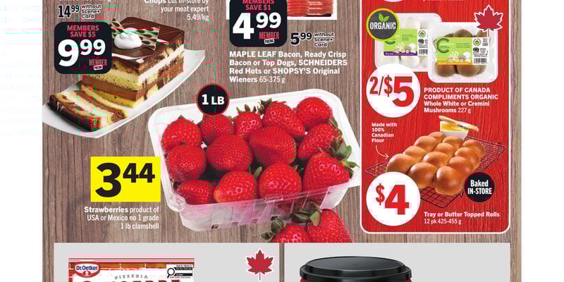 Flyer thumbnail image