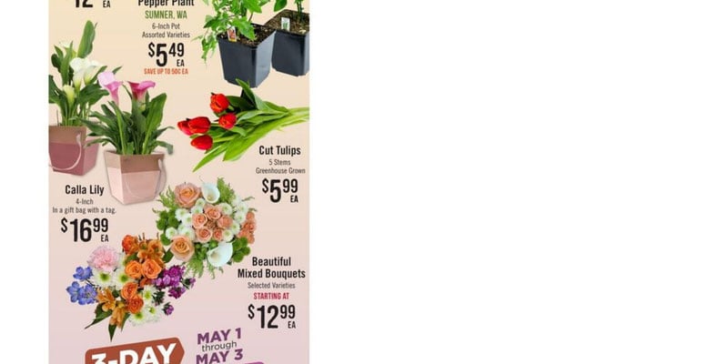 Flyer thumbnail image