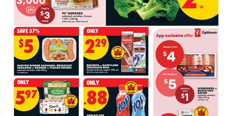 Flyer thumbnail image