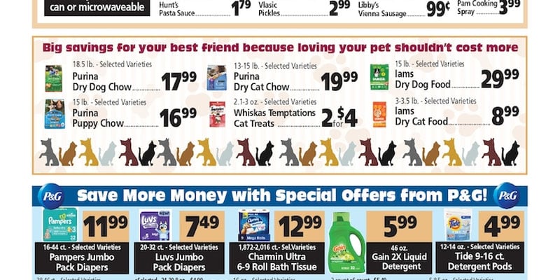 Flyer thumbnail image